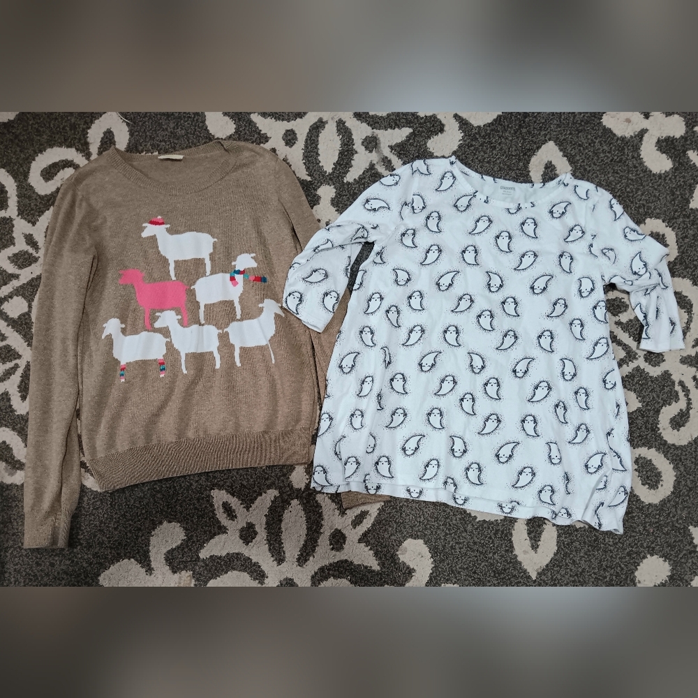 Brown Sheep Sweater and White Ghost Top